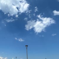 真夏日続く💦
