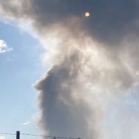 平和を冠する