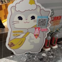 九州旅行と雑感