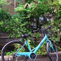 インスタグラムに載せた写真