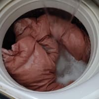 梅雨の晴れ間に