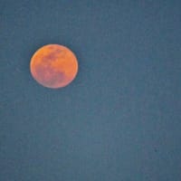 今治城と満月のコラボ