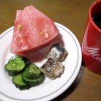 ドローンにてＮ谷上空を