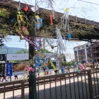 箱根登山鉄道