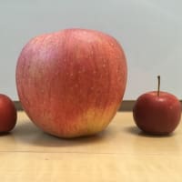 リンゴの季節
