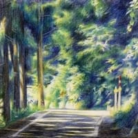 【十二ヵ月の山際の詩：七月 吉野賛歌Ⅱ / 八月 夏の影の奧】