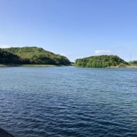 湖畔のさくら広場　伊勢本街道