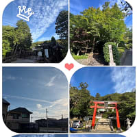朝の散歩風景から