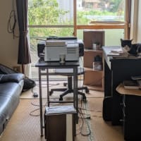 猫と築く信頼関係♪