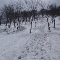 春の雪山