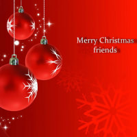 メリークリスマス！MERRY CHRISTMAS 2024 !!＜(*^-‘)ﾉ☆;:*:;☆