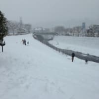 東京の雪 2014.2.8