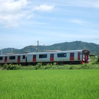 田園風景と通勤電車　JR九州８１５系