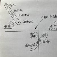 新版　日本人になった祖先たち　DNAが解明する多元的構造　－　篠田謙一（NHK出版）