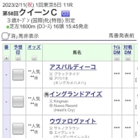 クイーンＣに愛馬が出走決定