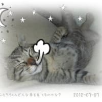 久々にフォトスケープに挑戦してみました