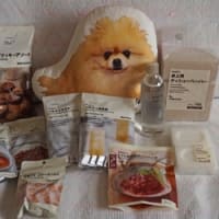 ポメさんあるある