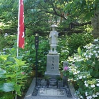 志摩市「大慈寺のあじさい」を見てきました～(^^)  2025