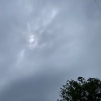 大日本総鎮守 3