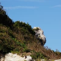 白浜旅行（3）