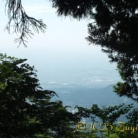 山の頂上で愛を考える旅... Part 1