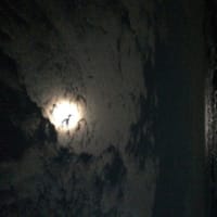 去年の未報告を今更ご報告してみる。