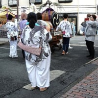 八剱八幡神社の例大祭②-関東一の大神輿