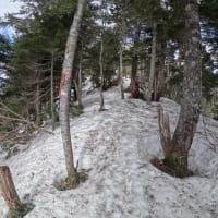 今期２度目の十石山へ