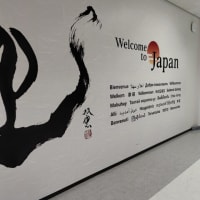 香港国際空港から成田国際空港に移動しました。