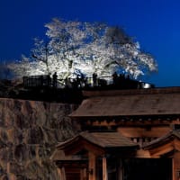 松代城のライトアップ２