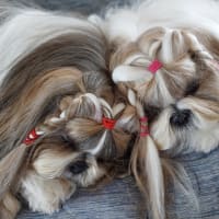 凛ちゃんのお目目が…