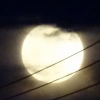 皐月の満月はフラワームーン