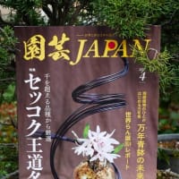 ツバキを創る人