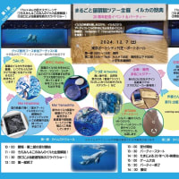 ご無沙汰ですー‼️