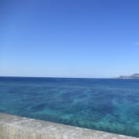 緑内障の重要性