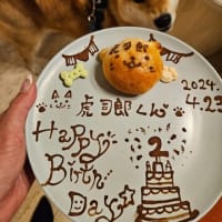 虎司郎2歳のお誕生日おめでとう！！