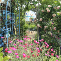 Open garden friends