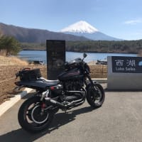 1周年