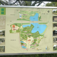 吹田の紫金山公園