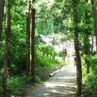 黒沢藤園ナイヤガラの滝  R- 7- 5- 1