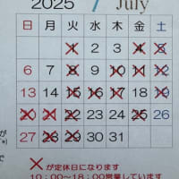 待ちに待った『マンゴーデニッシュ🥭』　& ７月の予定