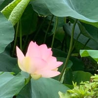 ある時代との対話⑦