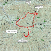 408    房総の山(津森山から人骨山へ周回コース)をハイキング。　　('19,01,27)