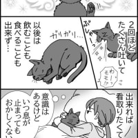 妄想ねこ漫画７