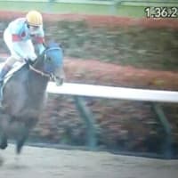 今週の出走結果（4/26，4/27）ターコイズフリンジ＆シュネーグロッケン優勝