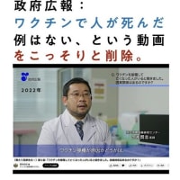 渋谷で「選挙に行こう！」と演説する畠山さん25歳
