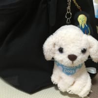 休日だー！