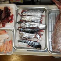 　釣魚下処理　イサキ・マダイ・アジ・サバ・ソーダガツオ