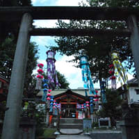 朝の散歩　七夕飾りの熊野神社に茅の輪　　　19