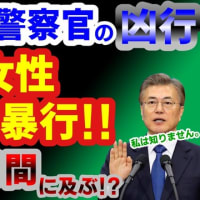 【韓国 警察官 性的暴行】脱北者の保護を命じたのに…。韓国現職警察官が脱北女性に1年9カ月に渡り性的暴行！！【Vtuber】